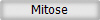 Mitose